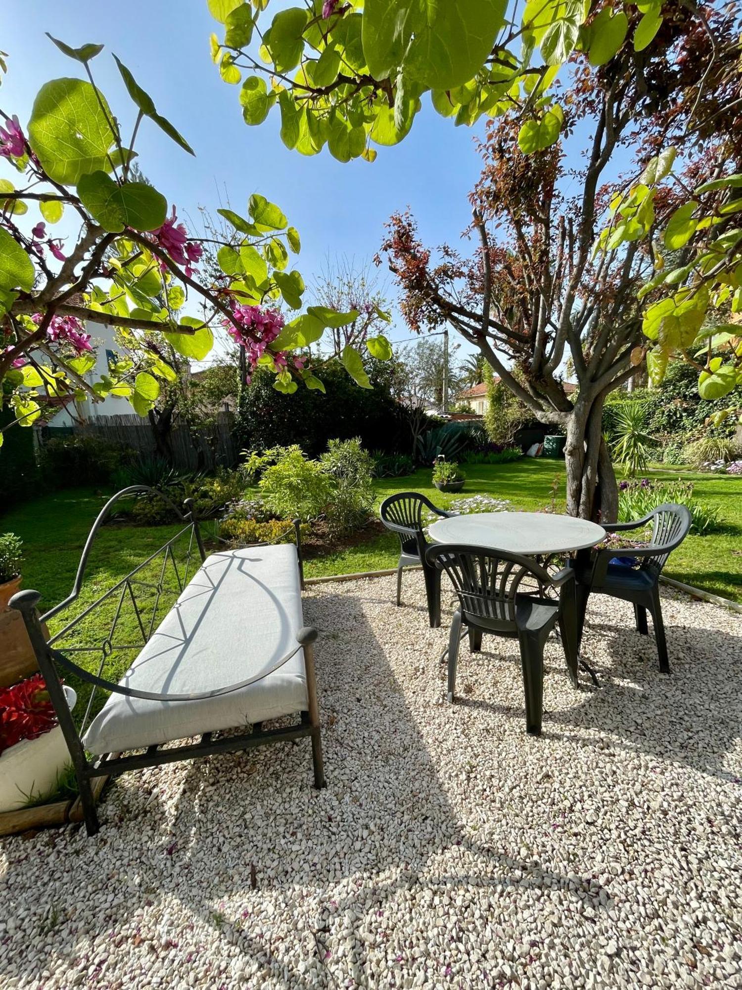 Appartement Rez De Villa Proche Port Et Plages De Sanary Dış mekan fotoğraf